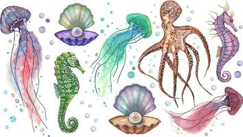 Collection of marine animals from 8 elements seahorse, jellyfish, shell, pearl. Vector. To create designs, patterns, postcards. vector