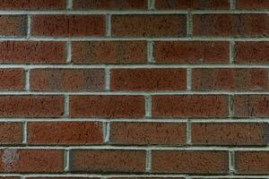 Texture background of bricks with lines photo
