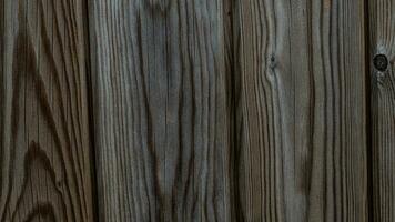 Natural Wood Grain Texture Background photo