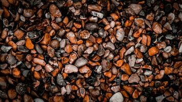 Gritty Texture of Gravel and Stones photo