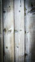 Natural Wood Grain Texture Background photo