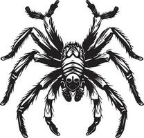 Halloween poisonous spider silhouette illustration vector