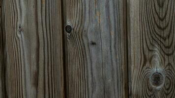 Natural Wood Grain Texture Background photo