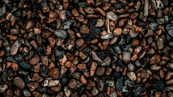 Gritty Texture of Gravel and Stones photo