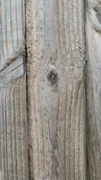 Natural Wood Grain Texture Background photo