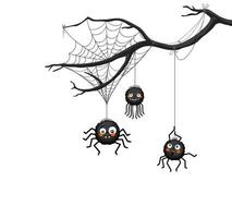 Halloween spider border, tree branch and cobweb vector