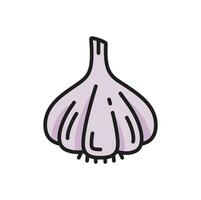 Garlic bulb, clove raw vegetable color line icon vector