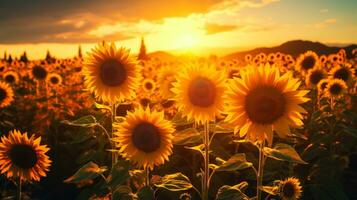 un tranquilo escena de un girasol campo a oscuridad brillante rojo suave luz de sol ai generado foto