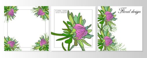 conjunto de saludo floral tarjetas, botánico antecedentes, cubre con otoño ásteres, margaritas vector