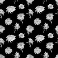 Vector botanical hand drawn monochrome line art pattern of asters flowers, daisies in graphics