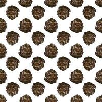 Pine cone seamless pattern. Botanical hand drawn vector background.