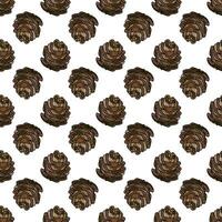 Pine cone seamless pattern. Botanical hand drawn vector background.