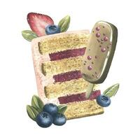 A piece of cake decorated with strawberries, blueberries, meringue and cream. Watercolor illustration. A composition from the collection of SWEETS. For the design and design of menus, recipes, cafes. vector