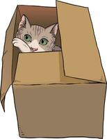 illustration of cat in a cardboard box vector