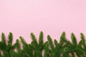 Christmas holiday background with copy space for advertising text. Fir branches on color background . Flat lay, top view photo