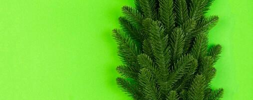 Top view Banner of green fir tree branches on colorful background. New year holiday concept with empty space for your design photo