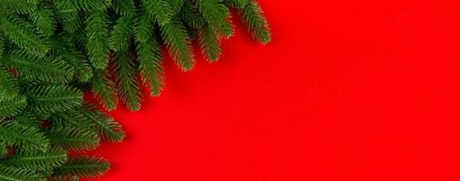 Banner top view of green fir tree branches on colorful background. New year holiday concept with empty space for your design photo