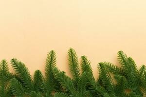 Christmas holiday background with copy space for advertising text. Fir branches on color background . Flat lay, top view photo