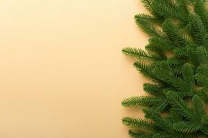 Christmas holiday background with copy space for advertising text. Fir branches on color background . Flat lay, top view photo