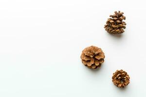 Christmas pine cones on colored paper border composition. Christmas, New Year, winter concept. Flat lay, top view, copy space photo