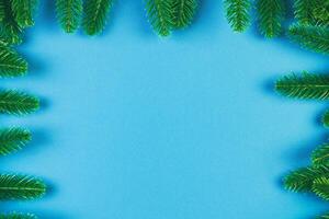 Top view of frame made of fir tree on colorful background with copy space. Merry Christmas concept photo