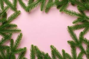 Christmas holiday background with copy space for advertising text. Fir branches on color background . Flat lay, top view photo