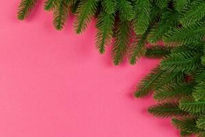 Top view of colorful background made of green fir tree branches. New year holiday concept with copy space photo