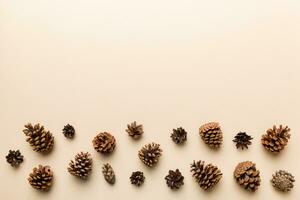 Christmas pine cones on colored paper border composition. Christmas, New Year, winter concept. Flat lay, top view, copy space photo