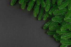 Top view of frame made of fir tree on colorful background with copy space. Merry Christmas concept photo