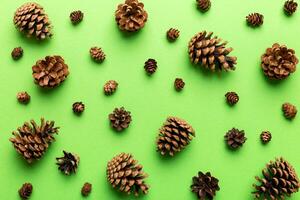 pine cones on colored table. natural holiday background with pinecones grouped together. Flat lay. Winter concept photo