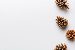 Christmas pine cones on colored paper border composition. Christmas, New Year, winter concept. Flat lay, top view, copy space photo