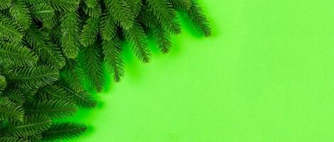 Banner Top view of colorful festive background made of fir tree branch. Christmas holiday concept with copy space photo