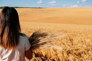 Woman in white dress stands in field with wheat photo