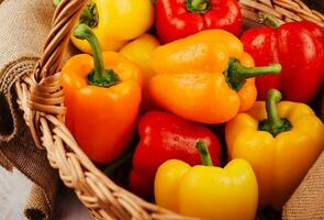 Freshly harvested red and yellow paprika photo