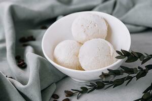 Vanilla ice cream balls on white bowl photo