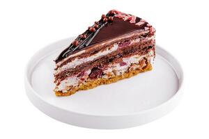 Piece of delicous chocolate cake with sour cherries photo