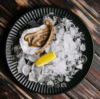 Fresh raw open oyster with ice and lemon slices photo