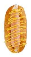 Hot dog with mustard isolated on white photo