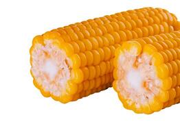 Boiled corn isolated on white background photo