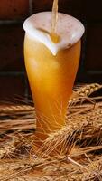 Pouring beer into glass with wheat ears photo