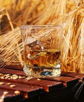 glass of whiskey in a field with ears photo