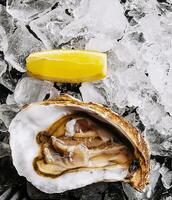 Fresh raw open oyster with ice and lemon slice photo