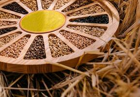 Different types of cereal grains with ears photo