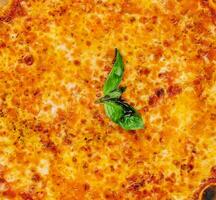 Pizza margarita top view. pizza with cheese photo