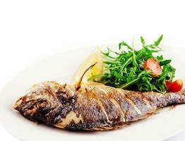 Baked sea bream fish with arugula salad and tomatoes photo