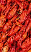 Fragrant boiled crayfish on a wooden board photo