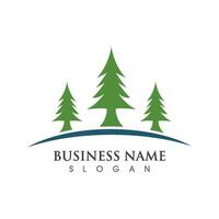 Cedar tree Logo template vector