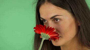 atraente alegre mulher cheirando uma flor e sorridente video