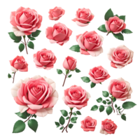 Rose, flower, petals, fragrance ai generative png