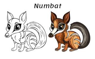 Cute Numbat Animal Coloring Book Illustration vector